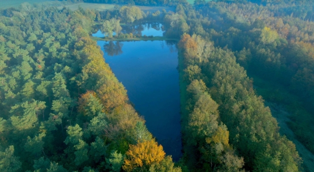 Visvijvers Bergeijk (foto Heijdens Karwei, Twan vd Heijden)